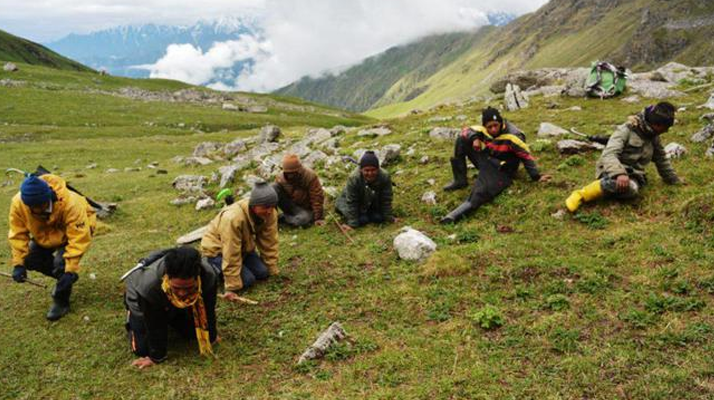 探寻新鲜冬虫夏草的来源之地 