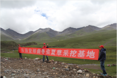 东强堂发布：2020年虫草行情综合分析