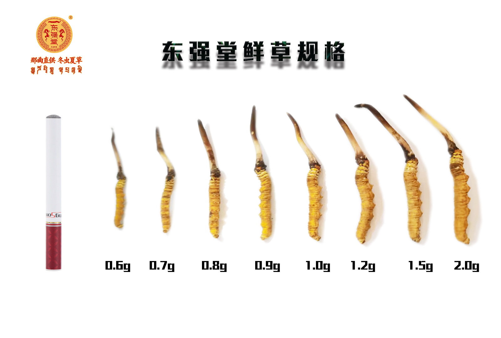 你知道冬虫夏草中虫草多糖、虫草酸作用有哪些