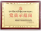 2016年李东强先生荣获“党员示范岗”荣誉称号