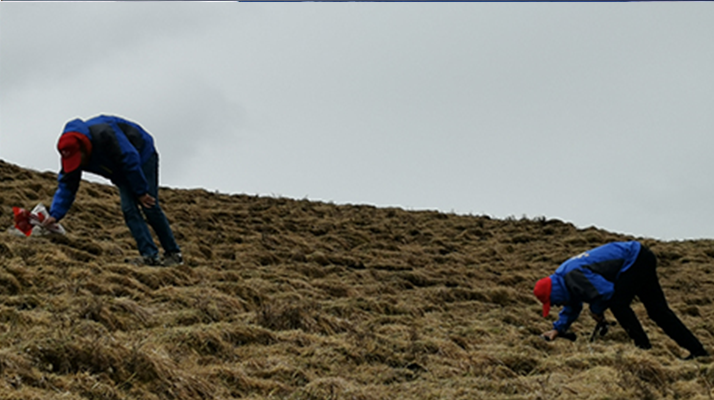 雪域直供，安心之选：东强堂带你读懂那曲冬虫夏草的源头密码