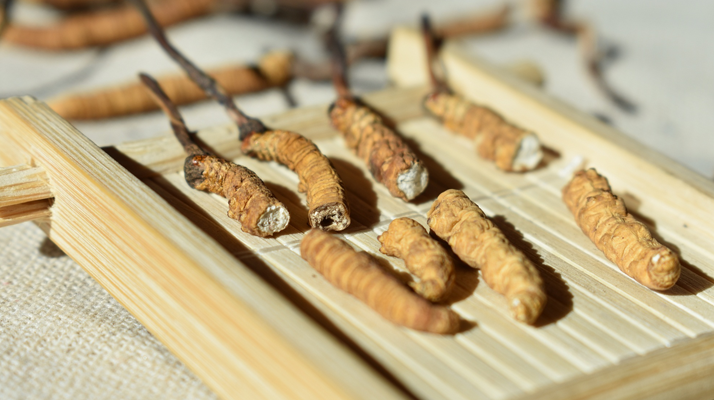 藏地珍馐藏于“断”处：东强堂那曲断草，高性价比的雪域滋养