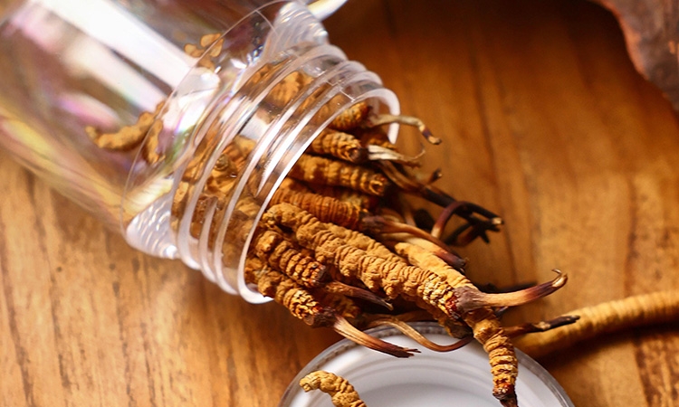 三味珍品，协同滋养：东强堂解锁鹿角、藏红