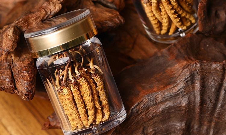 锁住雪域营养：东强堂揭秘冬虫夏草保存期及科学储存方法