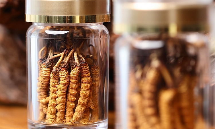 雪域野生珍品：东强堂详解那曲野生冬虫夏草的形态特征