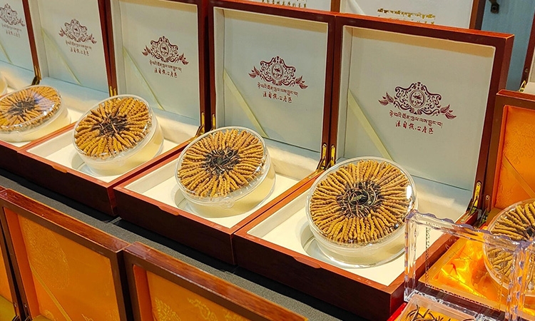 西安买正宗冬虫夏草攻略：东强堂揭秘靠谱渠道与选购要点