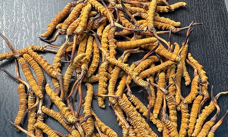 东强堂那曲冬虫夏草：10克有几根？规格与